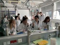 openlab 008
