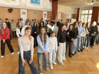 stimme IMG 9393 001