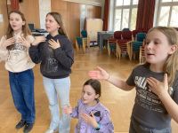 stimme IMG 9462 009